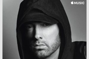 eminem the eminem show torrent