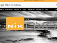 Nik Software Collection Torrent