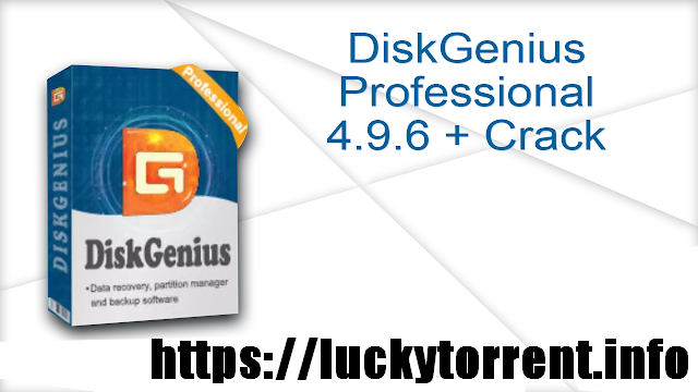 DiskGenius Professional 4.9.6 + Crack