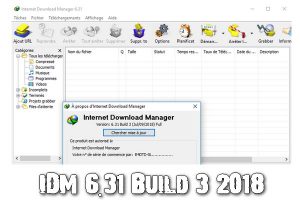 IDM 6.31 Build 3 2018 Torrent