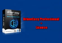 DriverEasy Professional + License