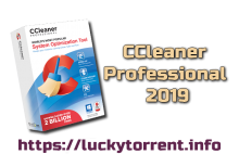 CCleaner Professional 2019 + Serial Keys
