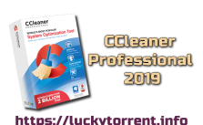 CCleaner Professional 2019 + Keys