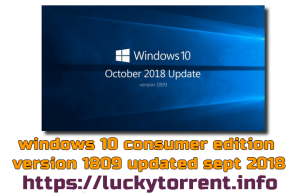Windows 10 Consumer RS5 Fr x64 Torrent