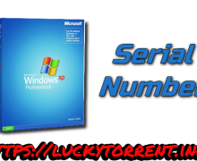 Windows XP Serial Numbers