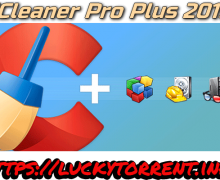 CCleaner Professional Plus 2019 Fr Torrent