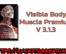 Visible Body Muscle Premium V 3.1.3 Torrent