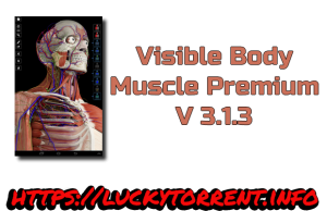 Visible Body Muscle Premium V 3.1.3 Torrent