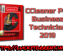CCleaner Pro Business Technician 2019 Torrent
