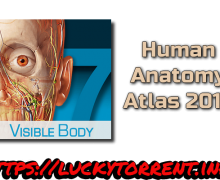 Human Anatomy Atlas 2015 Torrent