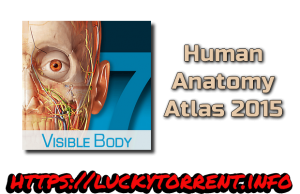 Human Anatomy Atlas 2015 Torrent