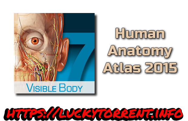 Human Anatomy Atlas 2015 Torrent