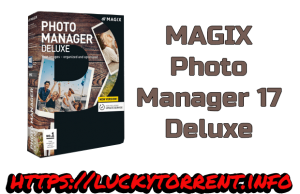 MAGIX Photo Manager 17 Deluxe Torrent
