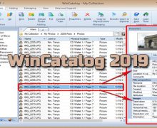WinCatalog 2019 Torrent