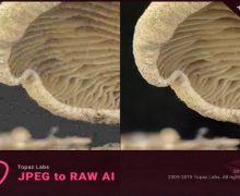 Topaz JPEG to RAW AI Torrent