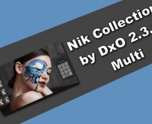 Nik Collection by DxO 2.3.0 Multi Torrent