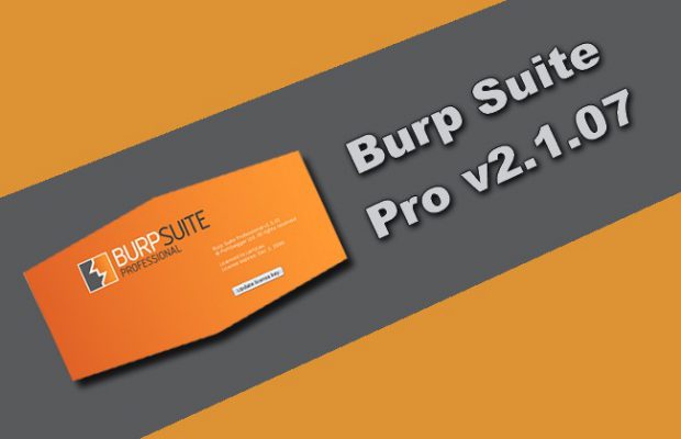 burp suite professional