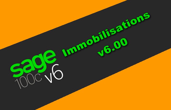 Sage 100C Immobilisations v6.00 Torrent