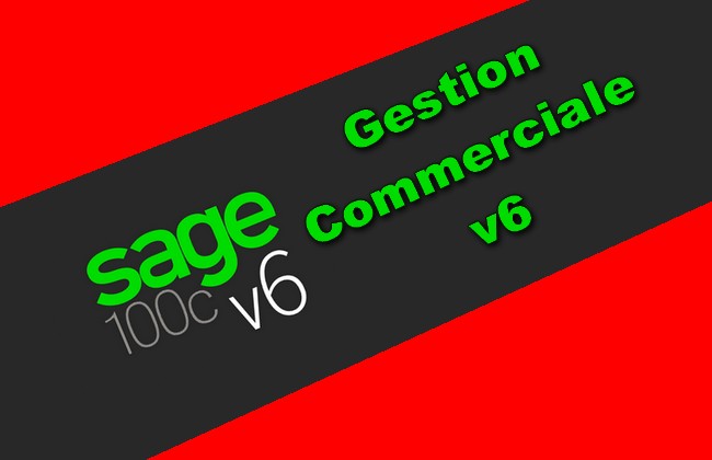 sage 100c gestion commerciale v6 Torrent