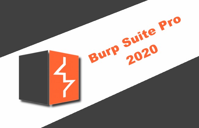 burp suite pro crack 2020
