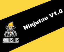 Ninjutsu V1.0 Torrent