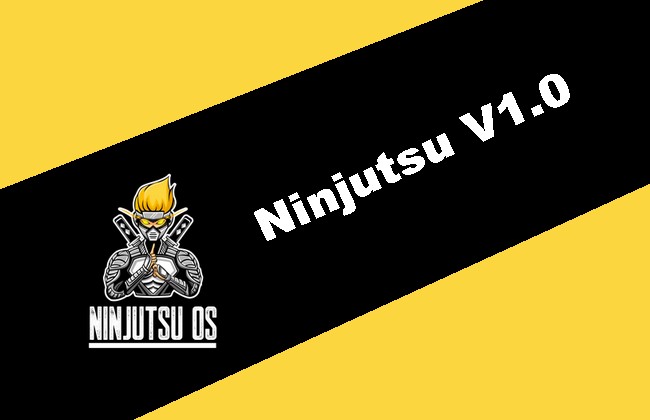 Ninjutsu V1.0