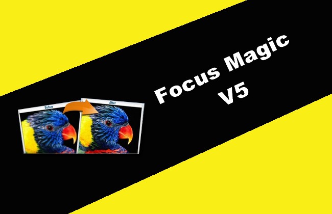 Focus Magic 5