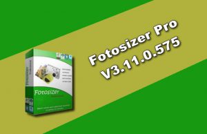 Fotosizer Pro v3.11.0.575 Torrent
