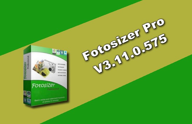 Fotosizer Pro v3.11.0.575 Torrent