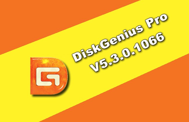 DiskGenius Pro 2020 Torrent