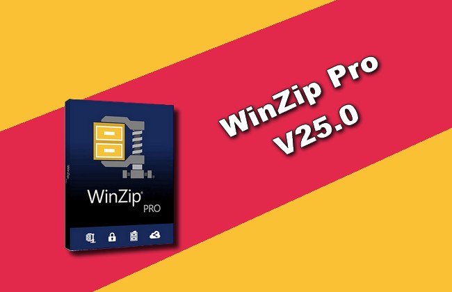 winzip 25.0