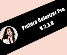 Picture Colorizer Pro 2.3.0 Torrent