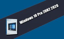 Windows 10 Pro 20H2 2020