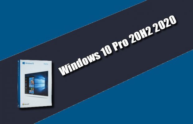 Windows 10 Pro 20H2 2020