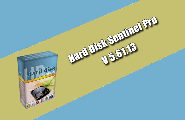 Hard Disk Sentinel Pro 5.61.13