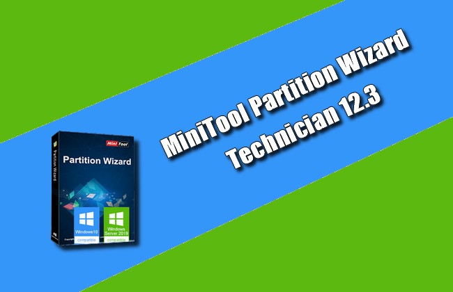 MiniTool Partition Wizard Technician 12.3