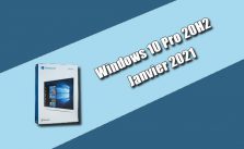 Windows 10 Pro 20H2 janvier 2021