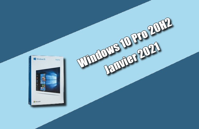 Windows 10 Pro 20H2 janvier 2021