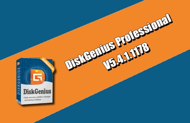 DiskGenius Professional 5.4.1.1178