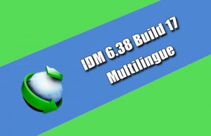 IDM 6.38 Build 17 Multilingue