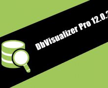 DbVisualizer Pro 12.0.2