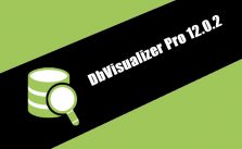 DbVisualizer Pro 12.0.2
