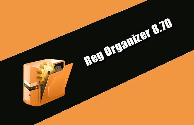 Reg Organizer 8.70