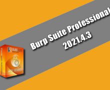 Burp Suite Professional 2021.4.3
