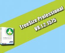 TreeSize Professional 8.1.2.1575