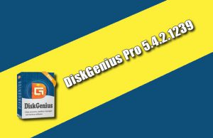 DiskGenius Pro 5.4.2.1239 Torrent