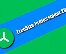 TreeSize Professional 2022 Torrent
