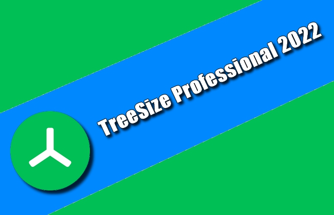 TreeSize Professional 2022 Torrent