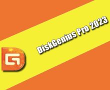 DiskGenius Professional 2023 Torrent