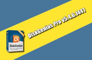 DiskGenius Professional v5.4.6.1441 Torrent
